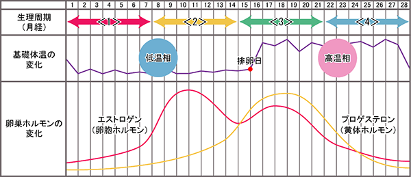 医師の診察を受ける時期